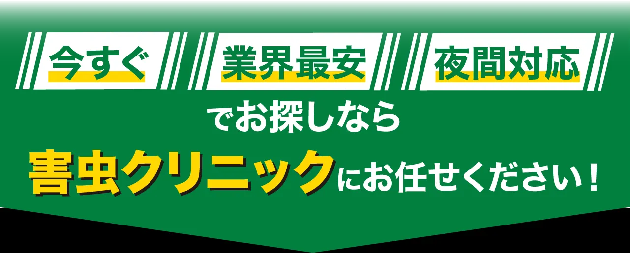 今すぐ、業界最安、夜間対応でお探しなら害虫クリニックにお任せください！