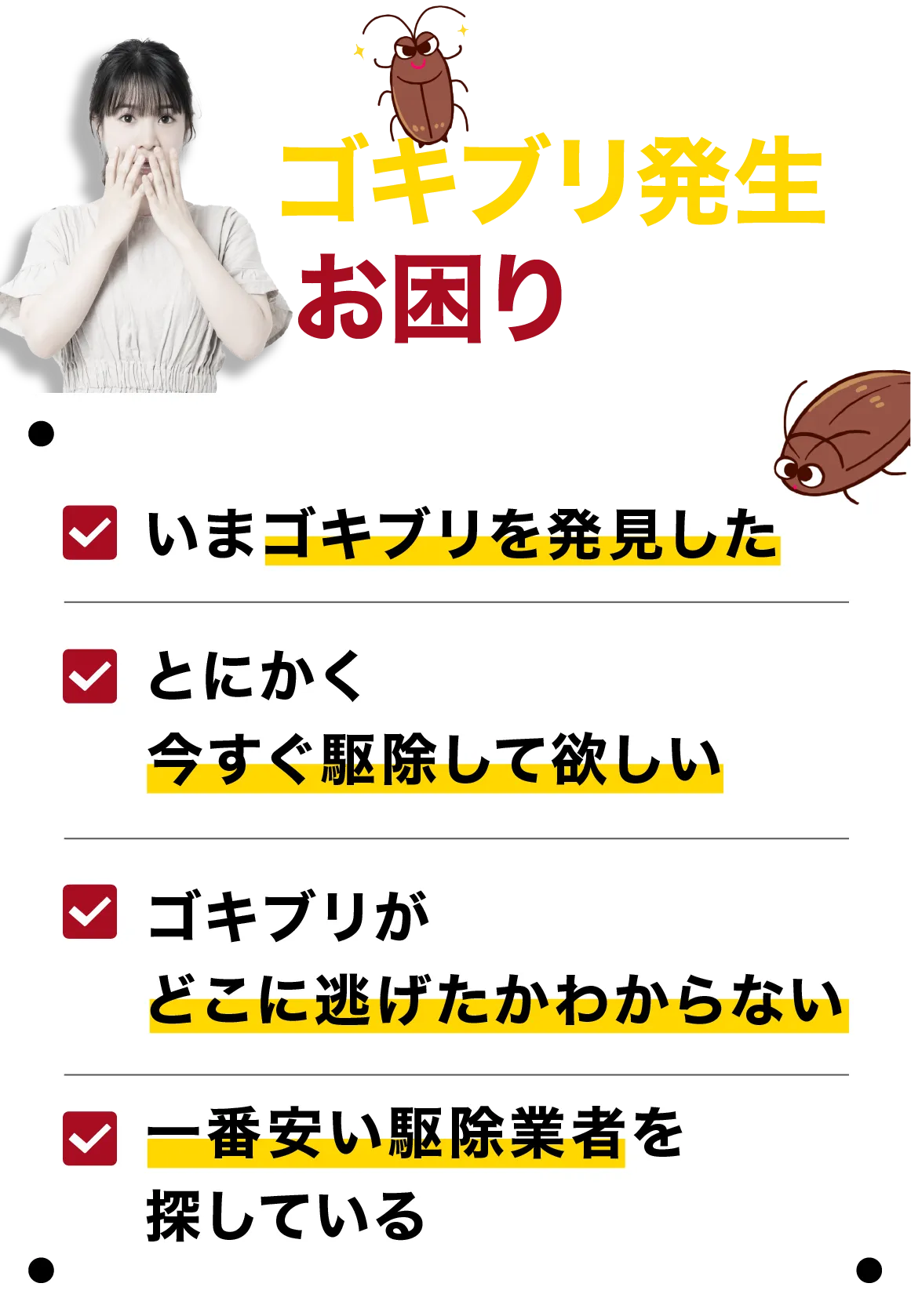急なゴキブリ発生にお困りですか？